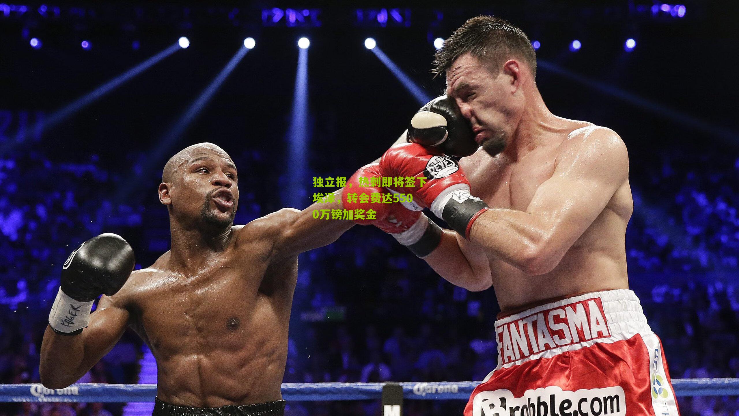 独立报,热刺即将签下埃泽,转会费达5500万镑加奖金